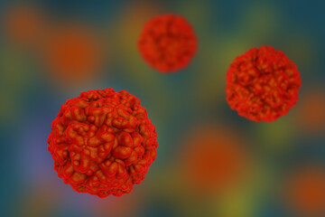 Rhinoviruses, 3D illustration showing viral particles responsible for the common cold, with detailed surface protein structure.
