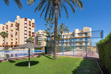 Padel court and pool with palm trees