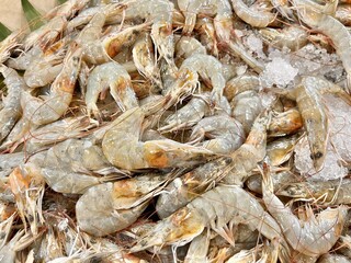 fresh raw shrimps
