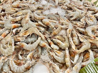 Background of shrimp