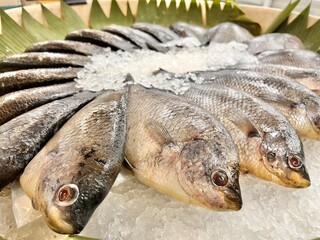 fish on the market stall