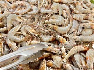 fresh raw shrimp