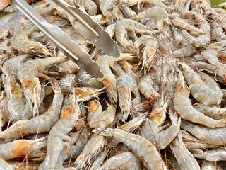 Picking up some shrimp at local market