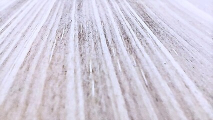 Natural yellow wood grain texture for use in graphic design, 3D modeling, or backgrounds.