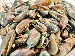 fresh raw clams
