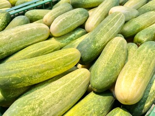 Close up cucumbers
