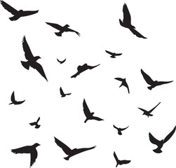 silhouettes of birds on the sky