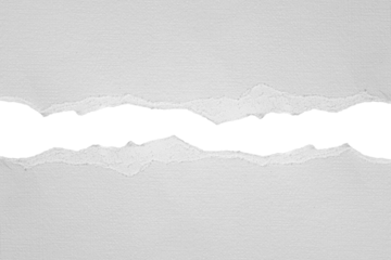 torn or ripped white paper isolated on transparent png background,realistic torn paper edges,Torn Paper effect mockup