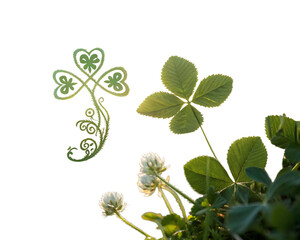 morning fresh nature luck symbol