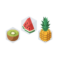 Isometric Fruit Slices in Geometric Shapes