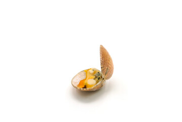 Closed up fresh baby clams. venus shell. shellfish. carpet clams. short necked clams. as raw food...
