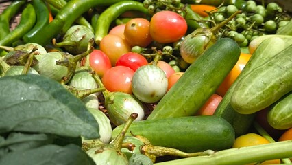 Fresh vegetables for cooking. Vegetables contain dietary fiber that helps cleanse the intestines.