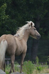 Fototapeta premium Island-Bilder