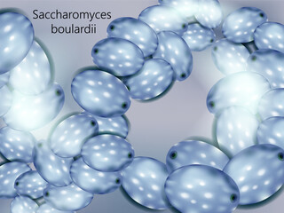 Saccharomyces boulardii Yeast. Realistic Vector Rendering of Saccharomyces boulardii Culture. Probiotic Illustration