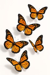 Obraz premium A cluster of vibrant orange monarch butterflies with black markings scattered across a clean white background isolated on white background