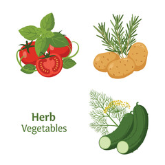 Assortment of Fresh Vegetables and Herbs