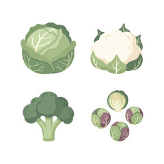 Cabbage Family Vegetables