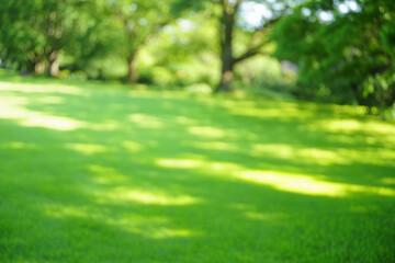 Blurred green lawn with dappled sunlight and shadows from trees in a park