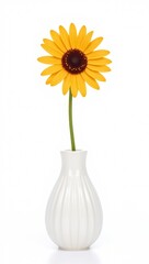 Sunflower in white vase
