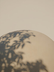 Closeup of a curved surface with soft leaf shadows, evoking a minimalist and serene atmosphere