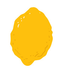 Lemon fruit isolated  in flat style.