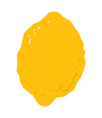 Lemon fruit isolated  in flat style.