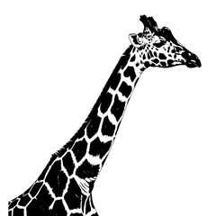 Naklejka premium A stylized black and white illustration of a giraffe's head and long, patterned neck on a white background.