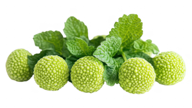Fresh green fruits and mint leaves arranged in an artistic manner against an transparent background