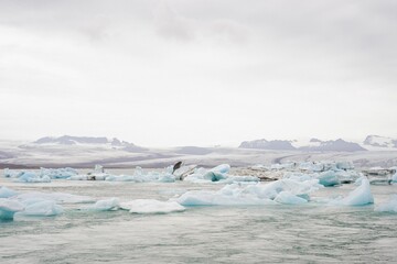 Fleeting Monuments: The Elegance and Erosion of Glacial Ice