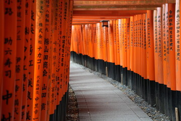 japan, kyoto, architektur, torii, schrein, bauwerk, rot, gate, japaner, asien, orange, anreisen, religion, fussweg, pfad, fushimi inari-taisha, oinari-san, shinto, fushimi, licht, orientierungspunkt