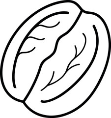 Hand-Drawn Vector Outline of Pecan Nut – Minimal Black and White Botanical Illustration