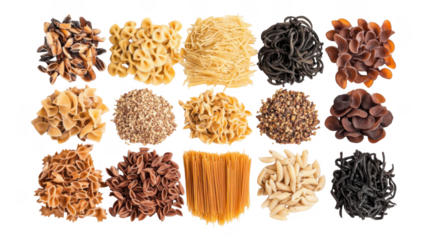 Various types of raw dry pasta and spices arranged on a white background for culinary use
