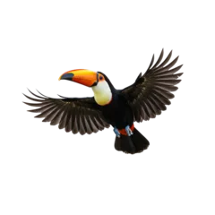 Fotobehang Toekan toucan flying, isolated on white background  © Beatriz