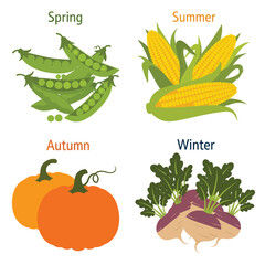 Seasonal Vegetable Harvest