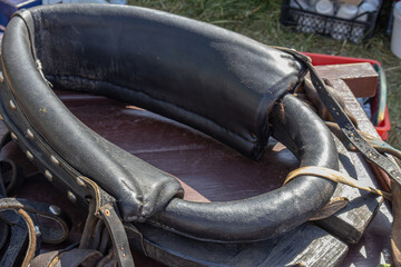 Horse accessories made of genuine leather. Riding equipment. A harness covering the horse's neck...