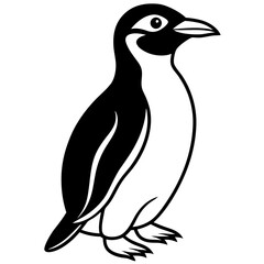 Fototapeta premium Penguin line art vector