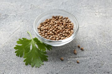 Fresh cilantro leaf and coriander seeds on grey table, closeup