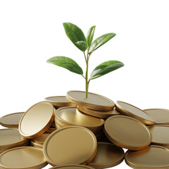 3D render of green investment and sustainable business growth.

