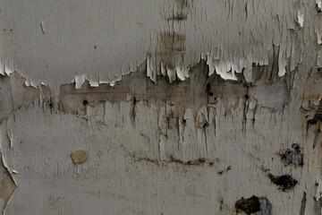 Grunge wooden background with peeling paint.  Perfect for distressed textures.