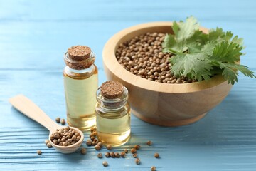 Aromatic oil in bottles, cilantro leaves, bowl and spoon of coriander seeds on light blue wooden...