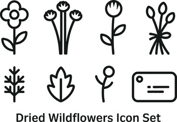 Dried Wildflower Icons Set, Botanical Outline Elements, Flora, Line Art on Transparent
