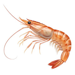 Fresh cooked red crayfish, a single isolated seafood animal, on a white backgroundFresh cooked red crayfish, a single isolated seafood animal, on a white background