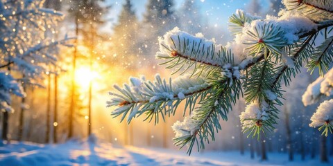 Winter Sunrise A Snow-Covered Evergreen Branch in a Forest of Snow-Dusted Trees at Dawn