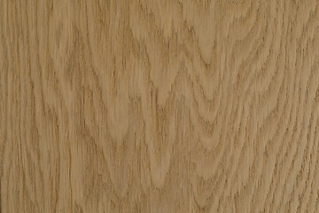 High-resolution image of natural light brown oak wood texture. Perfect for backgrounds, design...