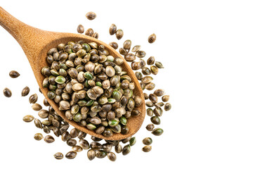 Hemp seeds in wooden spoon healthy food nutrition wellness superfood