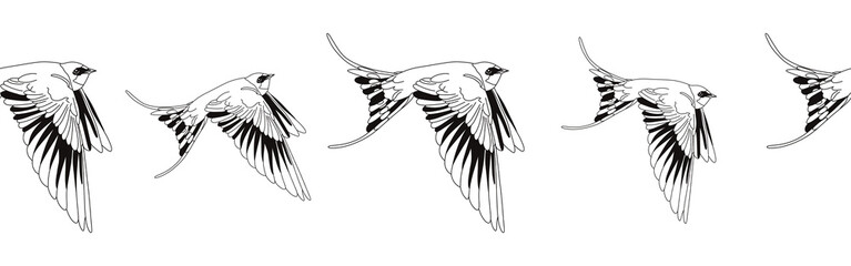 Border icon border. Bird feather silhouette symbol. Bird border isolated on white background	