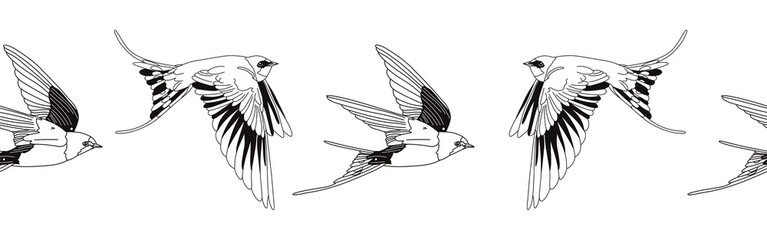 Border icon border. Bird feather silhouette symbol. Bird border isolated on white background	