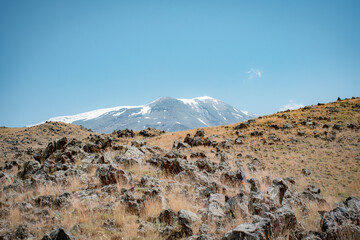 snow covered mountains