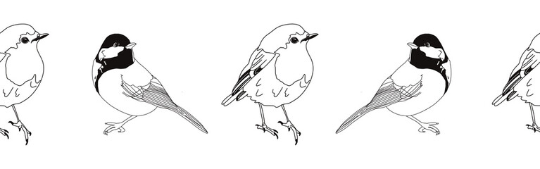 Border icon border. Bird feather silhouette symbol. Bird border isolated on white background	