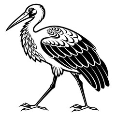 Illustration of a stork standing on a white background